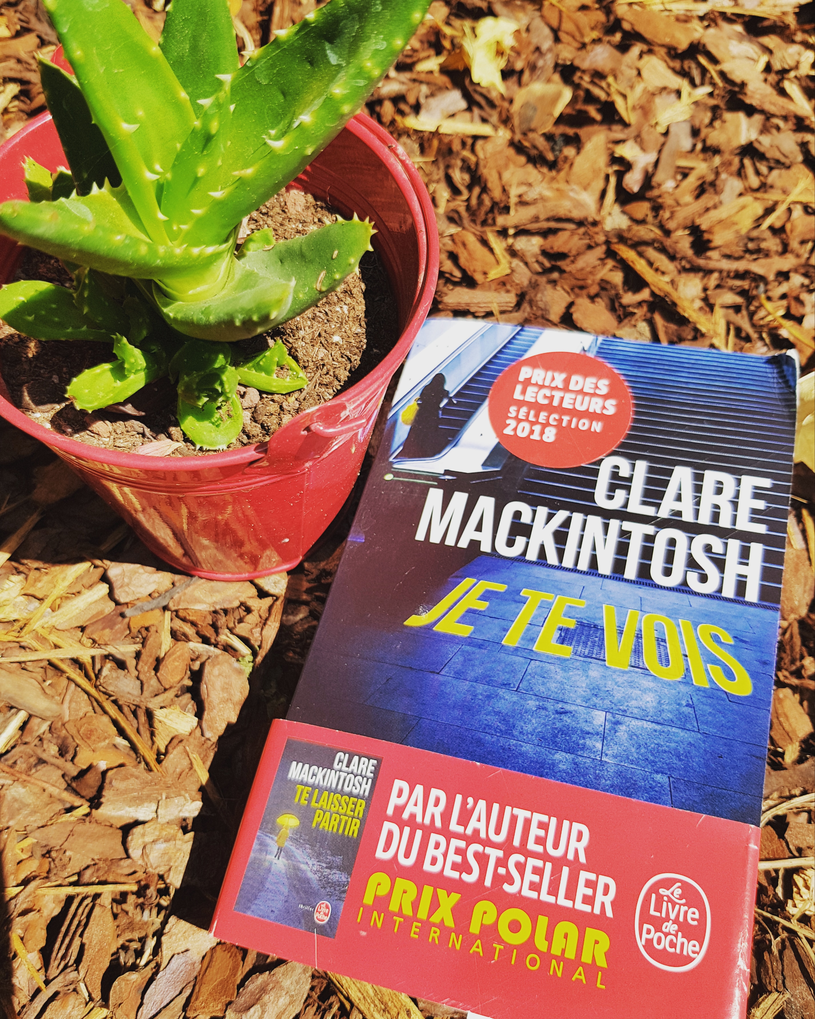 "Je te vois" de Clare Mackintosh. Chroniques de livres et conseils de lecture par MLBA.